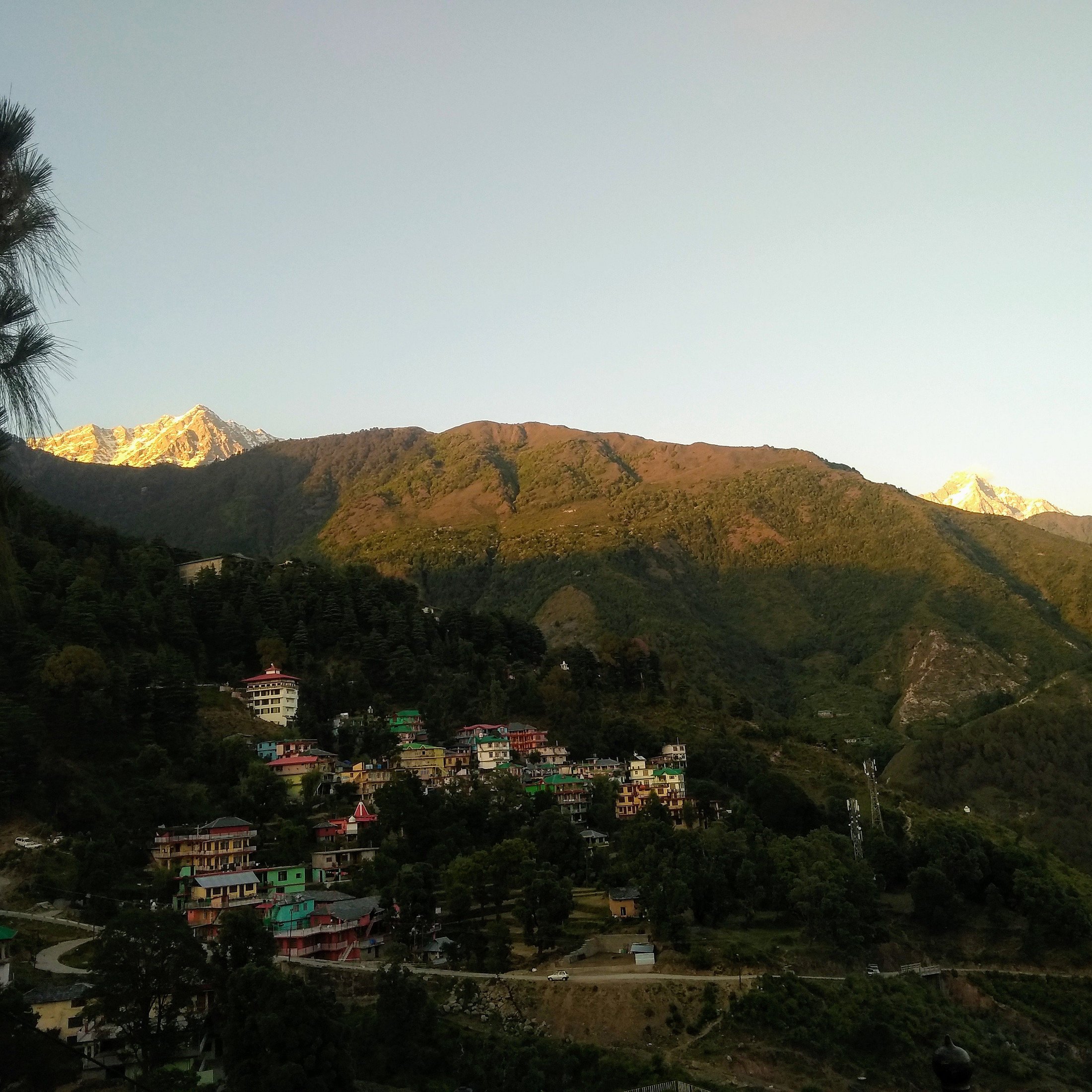 Snow-capped Dhauladhar peaks catching golden alpenglow at sunset above McLeod Ganj